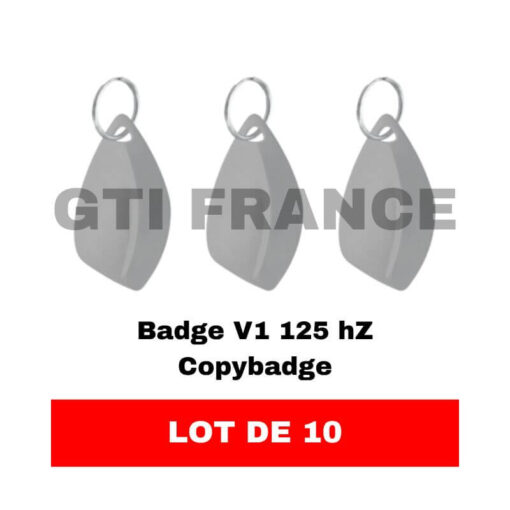 10 badges COPYBADGE V1 gris fréquence 125 HZ