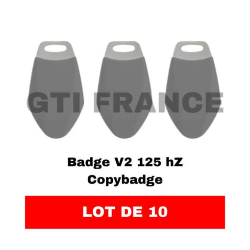10 badges COPYBADGE V2 gris fréquence 125 HZ