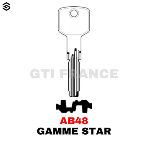 CLE A POINTS GAMME STAR - BOITE DE 50