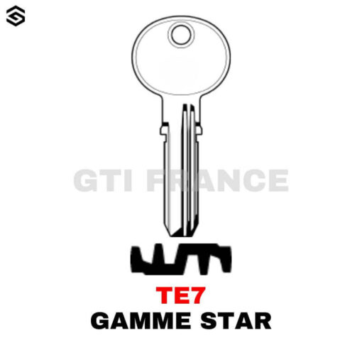 CLE A POINTS GAMME STAR - BOITE DE 50 – Image 5